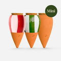 Coffret mini diffuseur d'eau plantes - rayés