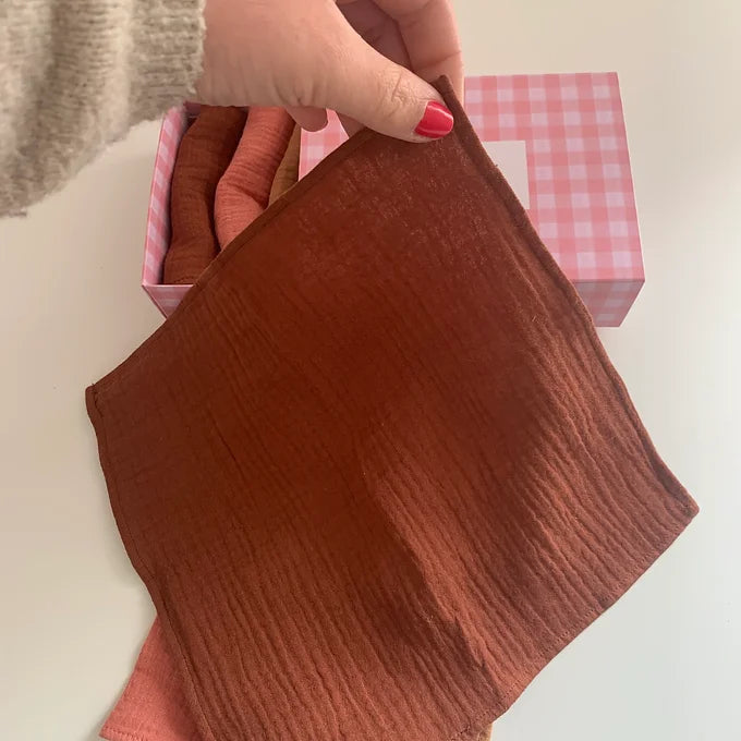 Coffret 6 serviettes - Rose praliné
