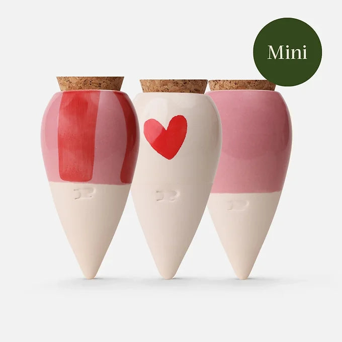 Coffret mini diffuseur d'eau plantes - coeur