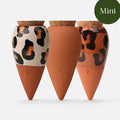 Coffret mini diffuseur d'eau plantes - léopard