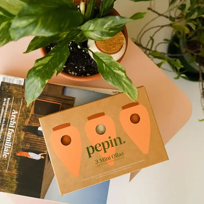 Coffret mini diffuseur d'eau plantes - léopard