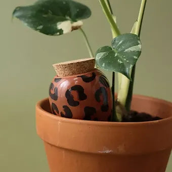 Diffuseur d'eau plantes - léopard