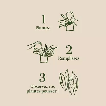 Diffuseur d'eau plantes - rayé rose & rouge