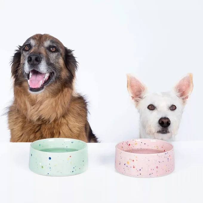 Gamelles pour animaux