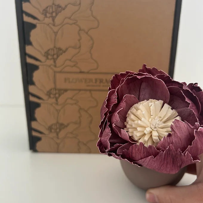 Vase diffuseur de parfum - chocolat