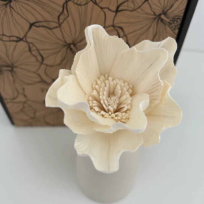 Vase diffuseur de parfum - crème