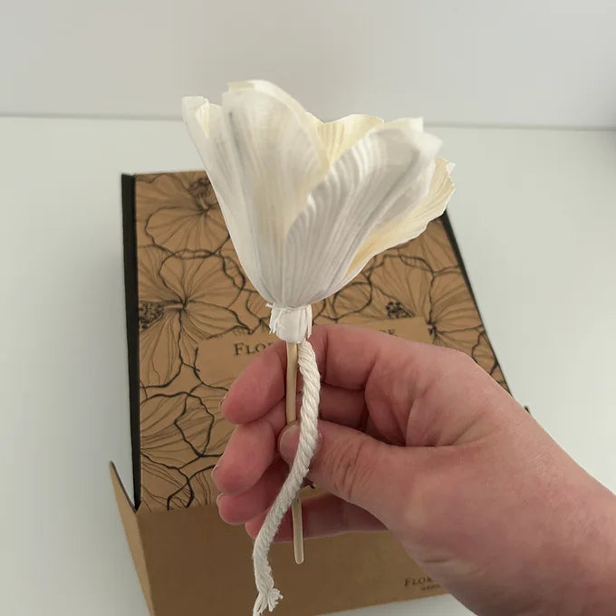 Vase diffuseur de parfum - crème